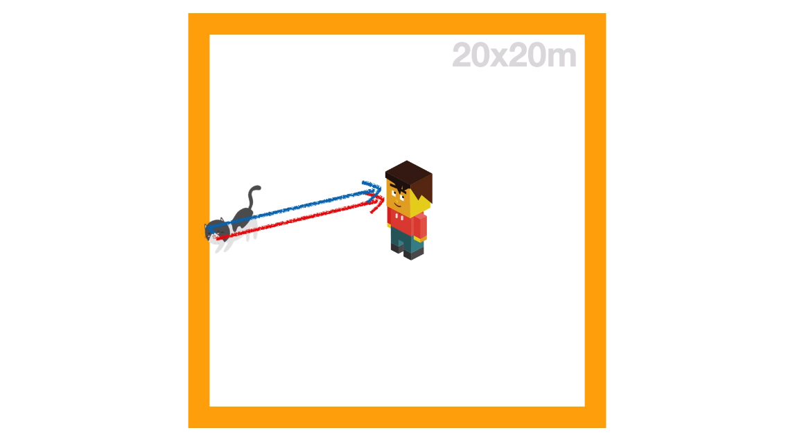 情况 2:猫紧贴墙壁,猫的“直接声音”跟“回音”的时间差多少?