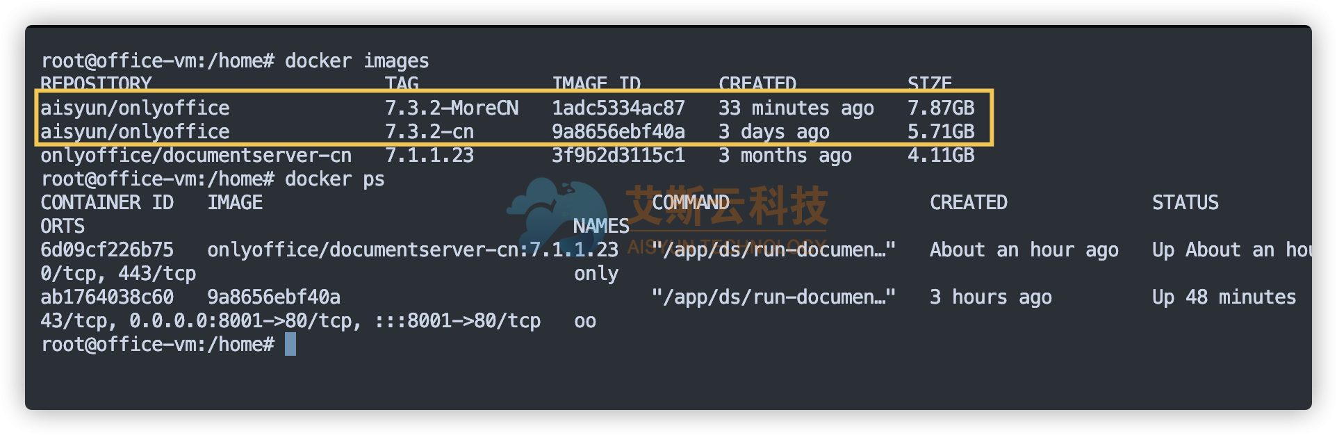image-20230319224001979